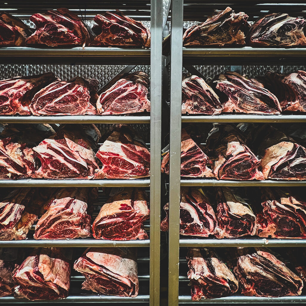 20240223_Tournage_VP_Motion_Photos (13)