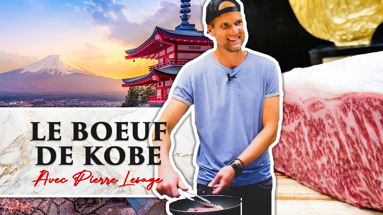 Vidéo : Le Bœuf de Kobe